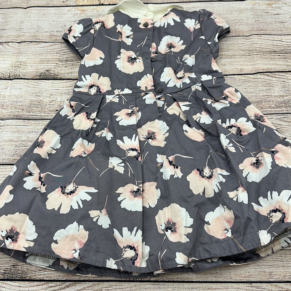 Janie and Jack Grey Cream and Pink Peter Pan Collar Dress w/ Tulle Linin… - Picture 6 of 8